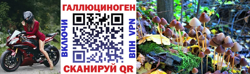 Псилоцибиновые грибы прущие грибы  Клинцы 