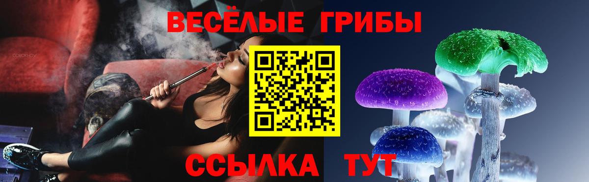 Псилоцибиновые грибы Magic Shrooms Клинцы